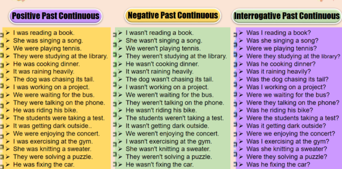 past continuous tense examples